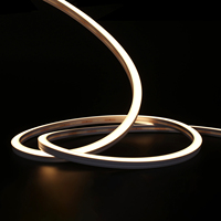 N1615D IP68 cuerda de neón luz Multicolor RGB LED tira impermeable tira de luz para Villa E-Sports Hotel sala de exposiciones