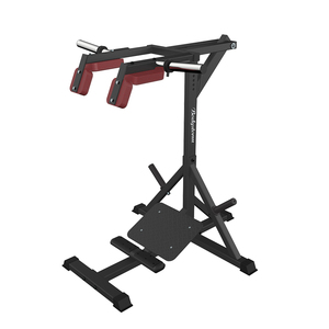 Support Commercial Multifonctionnel Professionnel en Acier pour Élevations de Mollets, Équipement de Fitness avec Tube Principal de 3,0 mm d'Épaisseur pour Musculation des Jambes - Product Image 1