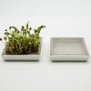 En gros : Plateau en céramique de qualité alimentaire, <span class=keywords><strong>Passoire</strong></span> en acier inoxydable 304 pour la germination des graines, Kit de germination en verre personnalisé, Pot en verre, Sucre, Lait, <span class=keywords><strong>Gelée</strong></span> - Product Image 1