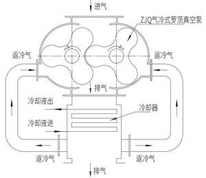 Bomba de Vacío de Tipo Roots Refrigerada por Gas de Servicio Pesado Serie ZJQ, Descarga Directa a la Atmósfera para Evacuación Rápida en Metalurgia y Química - Product Image 3