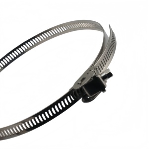 Phát Hành Nhanh Chóng Khóa Trượt <span class=keywords><strong>Worm</strong></span> <span class=keywords><strong>Drive</strong></span> Bánh Kẹp Có Thể Điều Chỉnh 9Mm Thép Khóa Ban Nhạc Cho Túi Lọc Hệ Thống Kim Loại Xoay Kẹp - Product Image 1