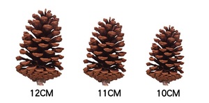 Thời trang giáng sinh trang trí tự nhiên thông Nón nón Mỹ - Product Image 5