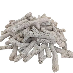 VASTOCEAN Magnetische Levitatie Rotsformatie Ecologisch Hars Glas <span class=keywords><strong>Aquarium</strong></span> Ornament voor Zeepaardjes Zoutwater/Zoetwater - Product Image 1