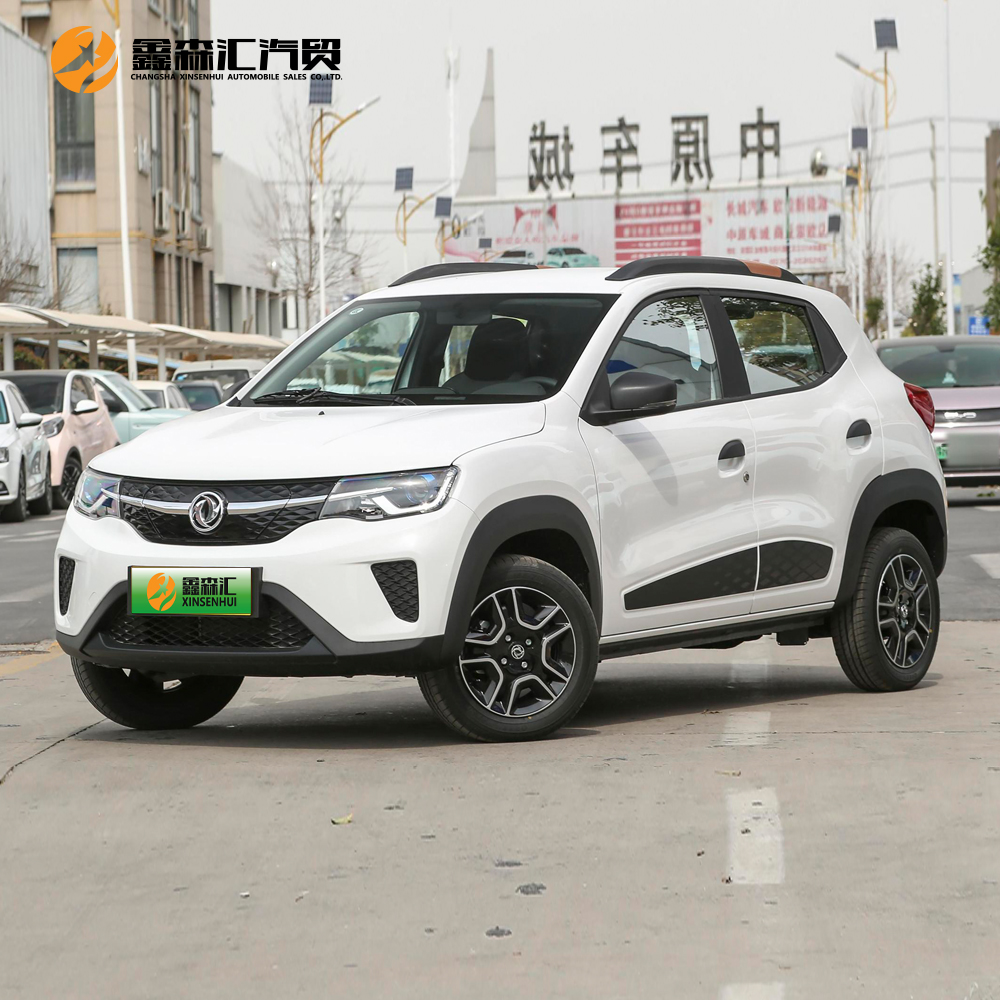 New Pure Electric Cars Dongfeng Nano Ex1 SUV 2023 Electric Cruising Range Mini EV Vehicles Adult