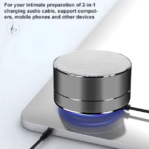 Neexxt Np04 2024 Quà Tặng Tư Nhân Dụng Cụ Mini Xách Tay Kim Loại Gỗ Thể Thao Ngoài Trời Bass Loa Di Động Stereo Bt Loa Không Dây - Product Image 5