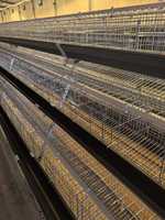 Petites cages à poules de type A à 3 niveaux
