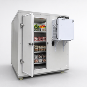 Conteneur frigorifique à bas prix, conception écologique, compresseurs Copeland/Daikin/TECUMSEH, 220V/380V, garantie 1 an, OEM - Product Image 4
