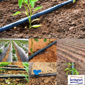 Hochwertiges Bewässerungssystem 16M Golden Tree Tropfband Cinta De Goteo Para Arbol Turco mit 20cm Abstand Tropfbewässerungsband - Product Image 3