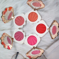 Saucière de maquillage oem, briquet, coquille de vegan, étiquette privée, blush, maquillage, 15 couleurs, sans échantillons