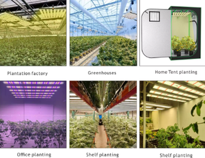 Zeal Lighting espectro completo IP65 LED plantas crecen Luz Azul Rojo para plantas de interior crecer - Product Image 5