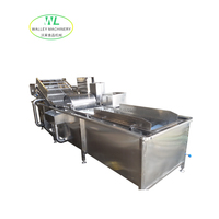 Hotsale QXJ Commerciële Groente- en Fruitwasmachine Industriële Belletjeswasser SUS304 RVS Motor-aangedreven Sojabonen Mais