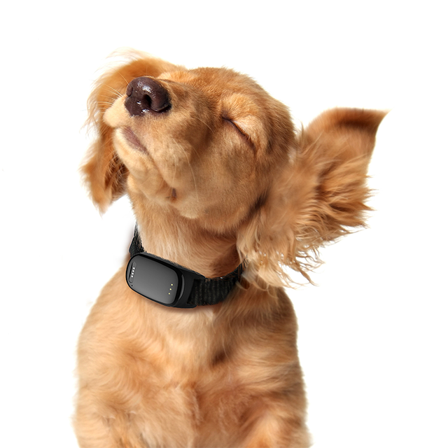 2022 Best Buy GPS Tracking Chip Real Time Puppy Cat GPS Tracker Collars Pet Locator with APP