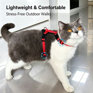 Cross-border direct cat traction rope anti-slip rope for outgoing cats rope pet chest strap chain adjustable - Product Image 6