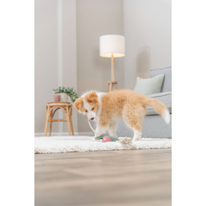 Jouet en corde de cuir Dragon 55 cm Jouet à mâcher pour animaux de compagnie - Product Image 4