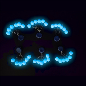 Flotteurs de pêche ronds bleus <span class=keywords><strong>lumineux</strong></span> de haute qualité pour la pêche nocturne en mer et sur la plage - Product Image 4