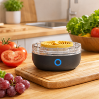 Équipements portables de lavage des fruits et légumes, machine de nettoyage au plasma rechargeable 2400mAh, mini machine de lavage des légumes en titane