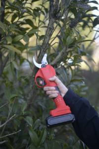 Outil de jardin professionnel, sécateur sans fil, cisailles électriques à batterie, puissance de sortie élevée, ciseaux de taille - Product Image 4