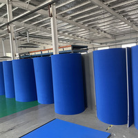 Tapis en rouleau XPE Bjj Jiu-jitsu Lutte Tatami Tapis en PVC pour Judo Arts martiaux mixtes Sports MMA Kick Boxing Entraînement