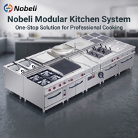 Cuisinière professionnelle double combustible avec plaque chauffante, four électrique et brûleurs à gaz en acier inoxydable 304 pour restaurants