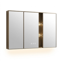 Armoire miroir en acier inoxydable avec étagères latérales, double miroir, étagère ouverte, armoire murale de rangement pour salle de bain, spa, dressing, décoration