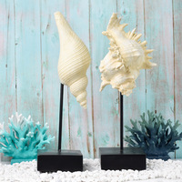 Figurine en résine imitation coquillage de style méditerranéen avec support noir, statue de coquillage océanique pour la décoration de table à la maison