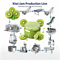 ORME Fruitjam Productielijn Tomatenpuree Aardbei Blauwe bes Framboos Perzik Abrikoos Druif Kiwi Gemengde Jam Apparatuur