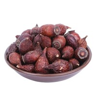 Hierbas Chinas Jin Ying Zi Premium, Fruta Seca de Rosa Laevigata, Suministro a Granel Directo de Fábrica para la Venta