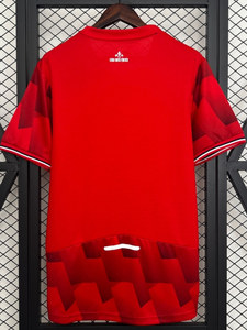 Maglia Rara Lille Ligue 1 25-26 Edizione Fan David Théguérou - Divisa da <span class=keywords><strong>Calcio</strong></span> Casa e Trasferta a Maniche Corte con Scollo a V e Motivo Geometrico - Product Image 2