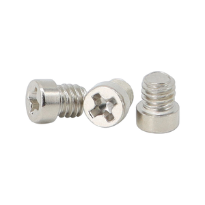 Tornillos Personalizados de Cabeza Pequeña de Acero al Carbono Niquelado, Cabeza Cilíndrica, Cabeza Plana, DIN ISO UNC UNF, M2-M6 - Product Image 1