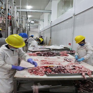 Abattoir <span class=keywords><strong>halal</strong></span> pour bovins/chèvres, convoyeur à bande à moteur électrique à haute productivité, ligne d'abattage de bœuf/mouton/porc, <span class=keywords><strong>boucherie</strong></span> - Product Image 2