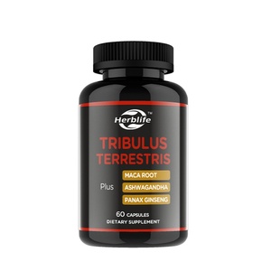 Cápsulas de Tribulus Terrestris de Primera Calidad de Marca Privada, Cápsulas de Tribulus que Aumentan la Energía, el Estado de Ánimo, la Resistencia y el Sistema Inmunitario para Hombres y Mujeres - Product Image 1