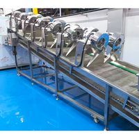KAYA Automatische Industriële Motor Aangedreven Fruit Reinigings- en Drooglijn Fruit en Groente Lucht Droogmachine 50W
