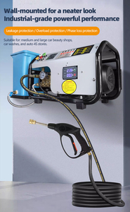 BG1509 Sunny Weather - Hidrolavadora Eléctrica de Alta Presión para Coche, Montaje en Pared, 220V, 150 Bares, Tanque de Agua Constante, Construcción Metálica - Product Image 4