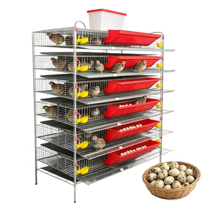 Industrial Grade Poultry Cage System with Adjustable Levels for Efficient Quail <strong>Egg</strong> <strong>Harvesting</strong> - Product Image 5