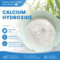 Excellent rapport qualité-prix, poudre fine de haute pureté d'hydroxyde de calcium, augmenteur de pH, chaux hydratée, chaux calcaire pour matériaux de construction