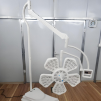 Lampe chirurgicale LED pour bloc opératoire vétérinaire, lampe frontale pour animaux
