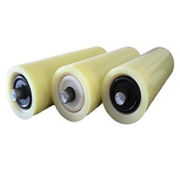 Rouleau de convoyeur de transition en nylon résistant au feu et durable pour l'exploitation minière, facile à nettoyer, dimensions personnalisables
