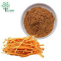 Biologisch Cordyceps Militaris Extract Polysacchariden Beta Glucan Cordycepin Poeder Trommel