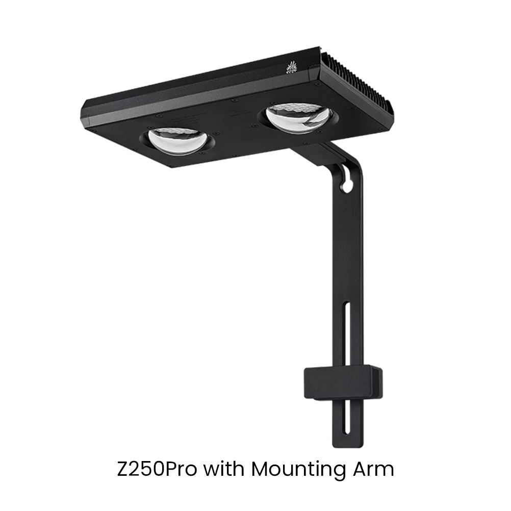 Z250Pro avec support