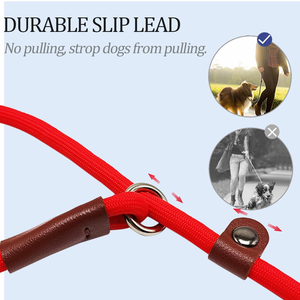 Quality Heavy Colors Optional Adjustable <b>Dog</b> Collar Nylon Duty <b>Dog</b> slip Rope <b>Leash</b> - Product Image 3