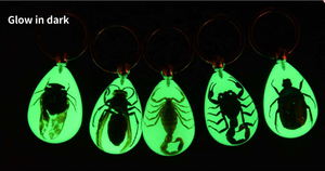 고투명 레진 봉입 자연 곤충 드롭 야광 키체인 펜던트 소스 강도 프로모션 카라비너 키링 - Product Image 5