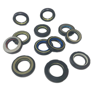 Nhiệt độ cao FKM sắt Nitrile cao su NBR con dấu cho van chịu quặng dầu máy móc thiết bị hạng nặng Dải con dấu nổi - Product Image 5