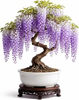 Pot de fleurs pour bonsaï Wisteria Floribunda au design mignon et écologique (Origine Fujian) - Utilisation intérieure/extérieure pour l'entretien des bonsaïs