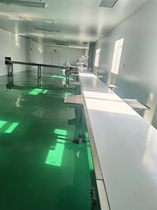 Venta Directa de Fábrica, Cinta Transportadora de Grado Alimenticio, Transportador de Cajas de Pan, Línea de Transporte Industrial para Empaque - Product Image 3