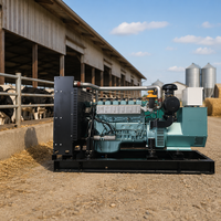 Power Perkins Cummins Dreiphasen-Dieselgeneratoren 10 kVA, 20 kVA, 30 kVA, 100 kVA, 200 kVA, 500 kVA, 700 kVA – Freie Energie zum Verkauf