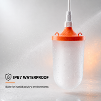 Luz LED Impermeable IP67 para Jaulas de Aves de Corral, 10W 48V DC, Regulable, Sin Parpadeo, Iluminación para Gallineros en Granjas de Pollos de Engorde y Ponedoras Húmedas
