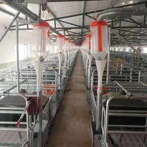 Pig Farm Hệ Thống Cho Ăn Khay Cắm Tự Động, Gieo, Vỗ Béo Lợn Thiết Bị Cho Ăn Tự Động - Product Image 5