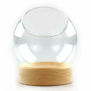 Home Decorative Hand Blown Clear Borosilicate Round Glass Globe Plant Terrarium with Wooden Base