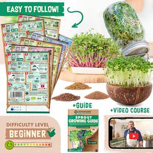 Yüksek kaliteli organik 10 Microgreens bahçe çantası paket bitki yetiştirme kiti brokoli içerir maş fasulyesi İsviçre Chard buğday büyümek - Product Image 4