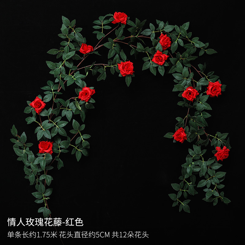 Vigne de roses rouges pour la Saint-Valentin